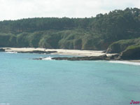 Areabrava_4